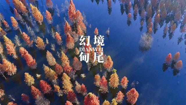 固始县积极践行绿色金融理念，助力绿色产业低碳发展