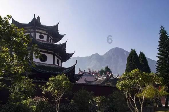 小长颈鹿逃离