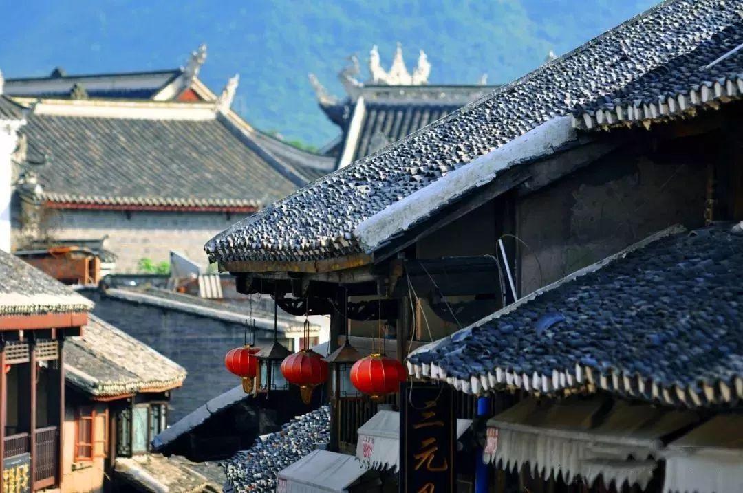 新洲：朗德鹅养出“致富经”